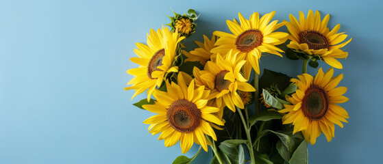 a bouquet of yellow sunflowers on a blue background
