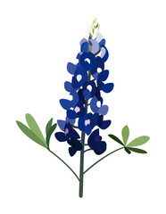 Bluebonnet Vector Art