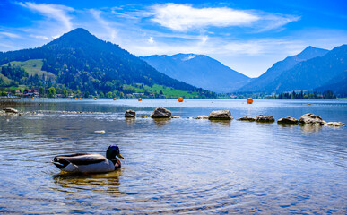 Sticker - famous schliersee in bavaria - germany