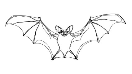 Wall Mural - A continuous line drawing of a realistic bat