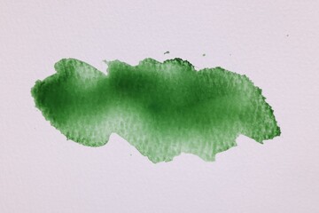 Wall Mural - Blot of green watercolor paint on white paper, top view