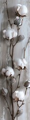 Wall Mural - A beautiful sprig of cotton on a gray background, a place for text. Delicate white cotton flowers.