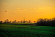 © Aleksandr Riabinin - Green field with sunset . Orange sky . Sun over the field . Forest at evening spring time