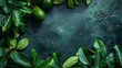 Fresh avocados with lush green leaves, placed on an artistic textured dark green background.