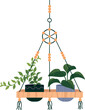 Houseplant in hanging pot decorative indoor potted plant hang on rope isometric vector