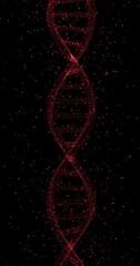 Wall Mural - red dna chain with dots loop rotation on black vertical background.