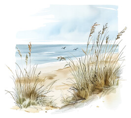 Coastal dunes with beach grass and sea view