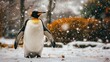   A penguin standing in the snow, with its head tilted back, appearing as if emerging from it