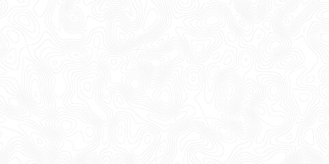 Poster - Topographic map background with geographic line map with elevation assignments.Modern design with White topographic wavy pattern design. Paper Texture Imitation of a Geographical map shades .