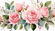  Watercolor depiction of delicate pink roses and leafy foliage with a white background 