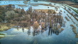 Fototapeta  - Floodwaters of the Widawa River, Lower Silesia, Poland.