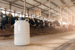 Concept artificial insemination of cows, tank liquid nitrogen with bull sperm. Veterinary of industry dairy livestock