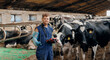 Concept love to animals and health care for cattle in livestock farm banner, artificial insemination. Portrait veterinary doctor young man on background holstein cow