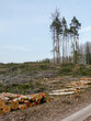 Clear cutting that damages the natural ecosystem and contributes to global climate change, logging