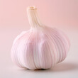 Garlic bulb isolated on neutral color background. Unpeeled garlic bulb. 