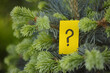 A yellow paper note with a question mark on it hanging on a subalpine fir. Close up.