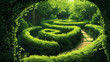 Enchanted Ivy Maze