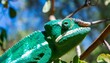 green colored chameleon close up generative ai