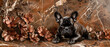 French bulldog sitting on a brown and orange abstract floral backdrop, relaxed pose, ears perked up, capturing the canine's natural charm and grace