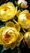  close-up view of vibrant yellow flowers against dark background with sparkles. concepts: floral marketing materials, florists, garden centers, wallpapers and backgrounds, greeting cards