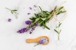 Lavender violet salt on wooden spoon and fresh flowers on white marble background. Bath body care with lavender extract or spa wellness concept. 