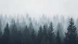 misty dark forest silhouette against foggy white sky atmospheric landscape