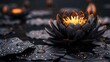   A macro shot of a water lily with dewdrops on its petals and a candlestick positioned at its center