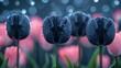   A collection of pink tulips surrounded by blue and pink tulips with water droplets, serving as a backdrop
