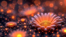   A High-resolution Image Of A Flower In Focus Against A Blurred Background The Background Is Lit With Warm Colors To Create Depth And Dimension