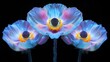   Three blue and pink flowers with yellow stamens on a black background
