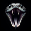 Close up Of hissing snake With Black Background 4K Wallpaper
