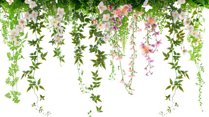 An arrangement of hanging flowers and creepers on a sunny day, with a clear blue sky backdrop, isolated on transparent background