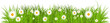 Green grass with flower frame. Spring grass and daisy border isolated.