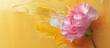 Vibrant Floral Composition: Pink Carnation on a Bright Yellow Brushstroke Background