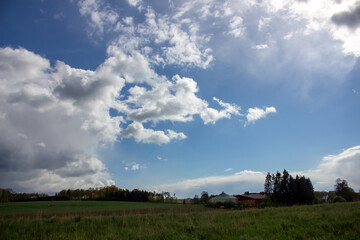 Landscape in summer with trees and meadows in bright sunshine