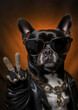 Portrait of a black bulldog wearing sunglasses and a leather jacket with a chain around his neck. Cool dog rapper on dark background