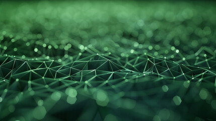 dew drops on the web