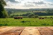 Empty wooden table top for product advertising with idyllic view to countryside with green nature and grazing animals