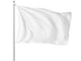 Fototapeta  - An image of a White Flag isolated on a white background