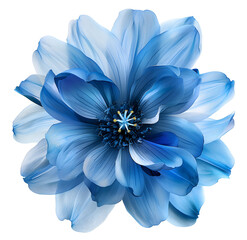 Vibrant blue flower isolated on white background, perfect for spring-themed design or wedding decorations.