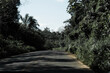 Asphalt road with tropical forest around. Mystery on the journey.