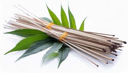 Wall Mural - weed flower spanish needles or beggar stick with green leaves isolated on white background