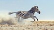 Majestic zebra gracefully traversing the scenic landscape