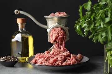 Canvas Print - Manual meat grinder with beef mince, spices, oil and parsley on grey table