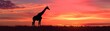 © nattapon98 - Capture the majestic silhouette of a giraffes rear view against a vibrant sunset, showcasing its graceful long neck and distinctive patterns in a photorealistic digital painting