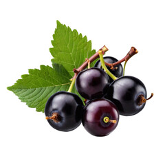 Wall Mural - Blackcurrant black currant cassis isolated on transparent background