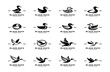 © JimzStd - Black duck silhouette logo icon design illustration
