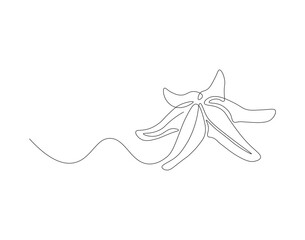 Wall Mural - Continuous line drawing of starfish. One line of starfish. Marine animal concept continuous line art. Editable outline.