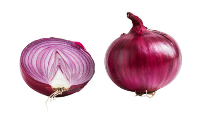 Canvas Print - Red onion