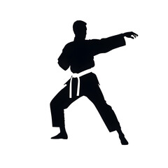 Wall Mural - silhouette of a Martial Arts